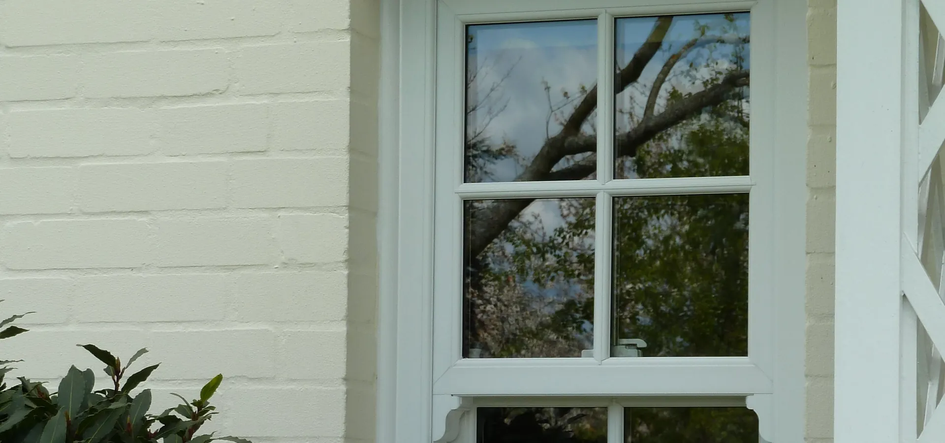Sash Windows Crystal Palace